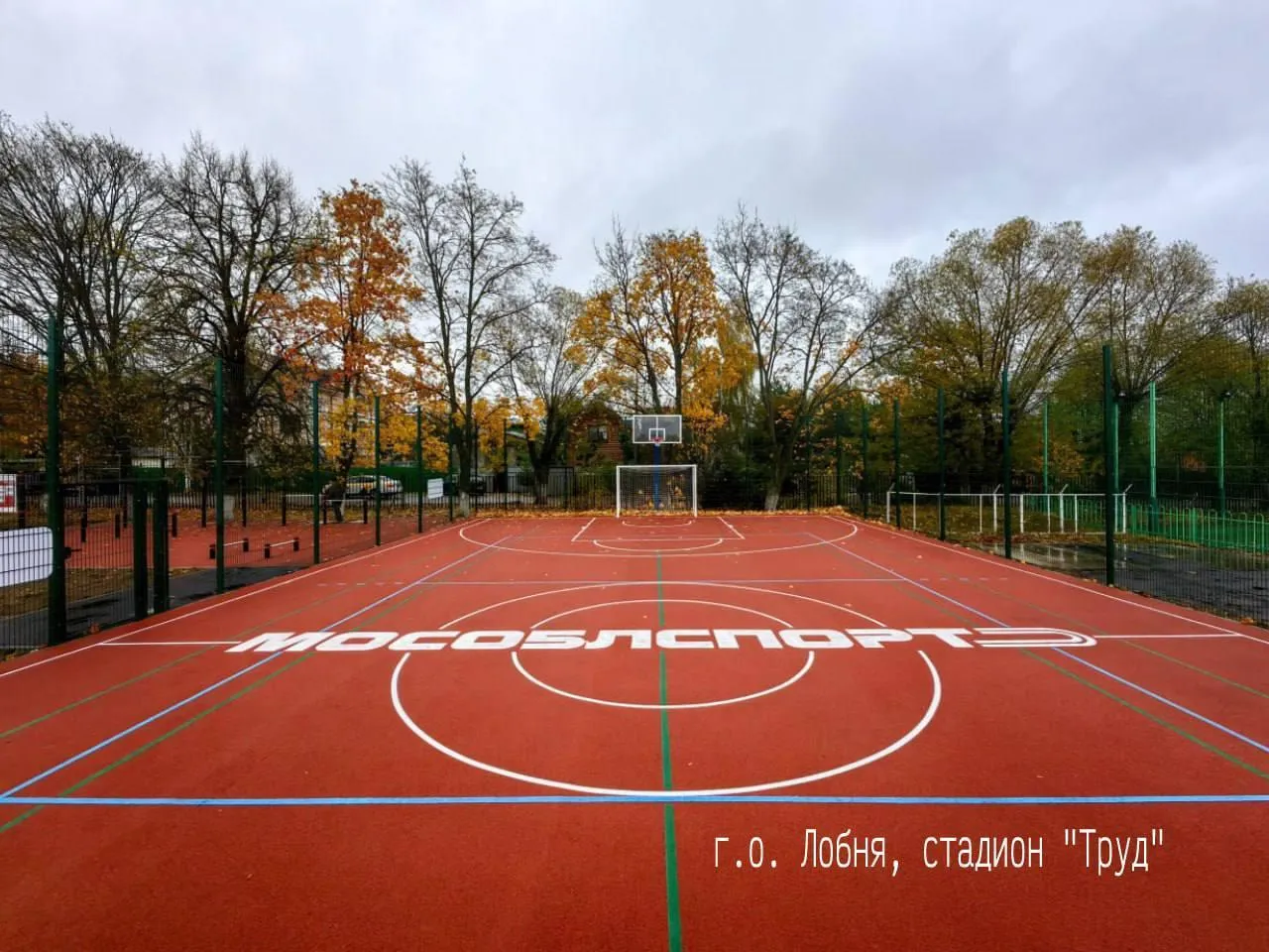 Фото: Пресс-служба министерства физической культуры и спорта Московской области