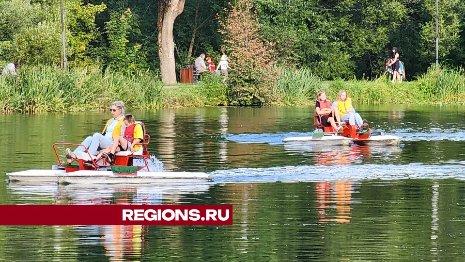 Фото: Дмитрий Алексеенко