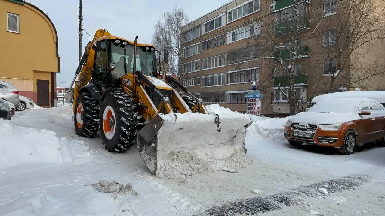 МедиаБанк Подмосковья/Екатерина Морозова