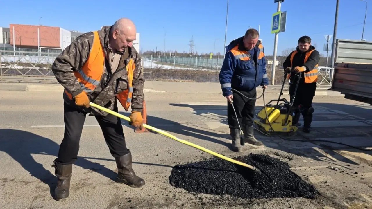 REGIONS/Яна Шаливская