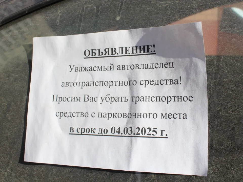 Фото: пресс-служба администрации г.о. Фрязино