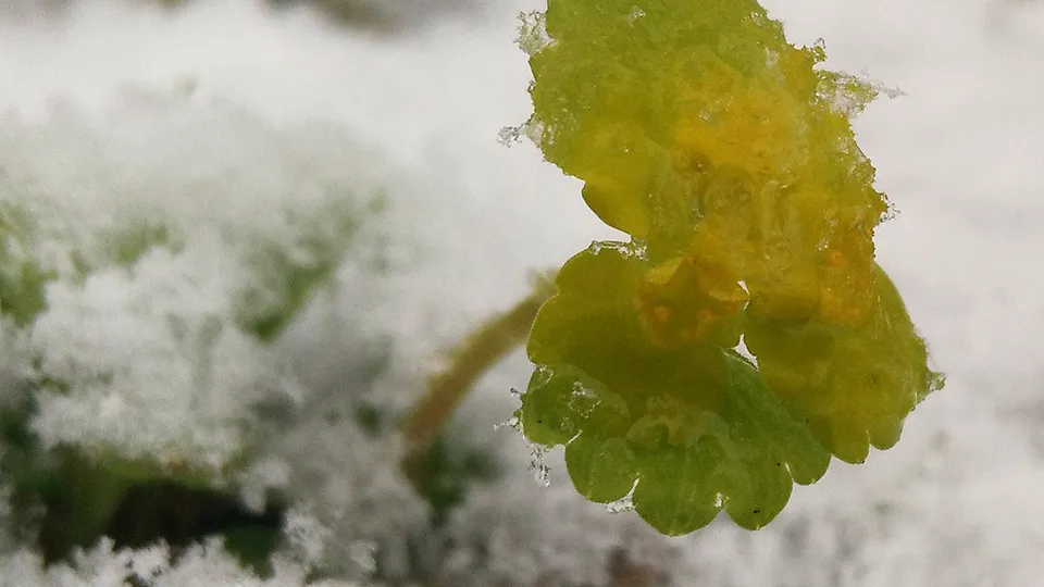 Фото: Антон Кондратюк