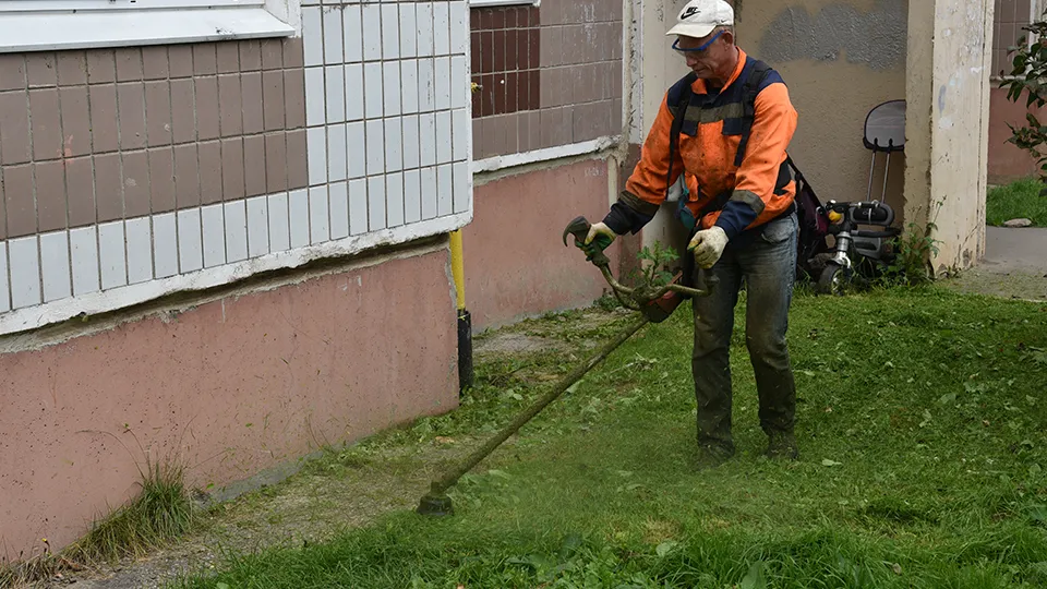 Фото: МедиаБанк Подмосковья/Владимир Останин