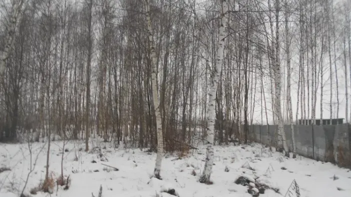 Участок в аренду в с. Белая Колпь. Фото: Комитет по конкурентной политике МО