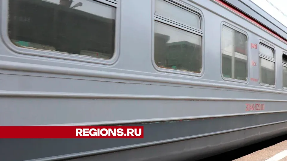 Фото: REGIONS/Василий Тремасов