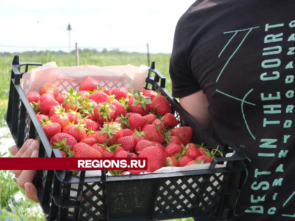 Фото: Мария Панина