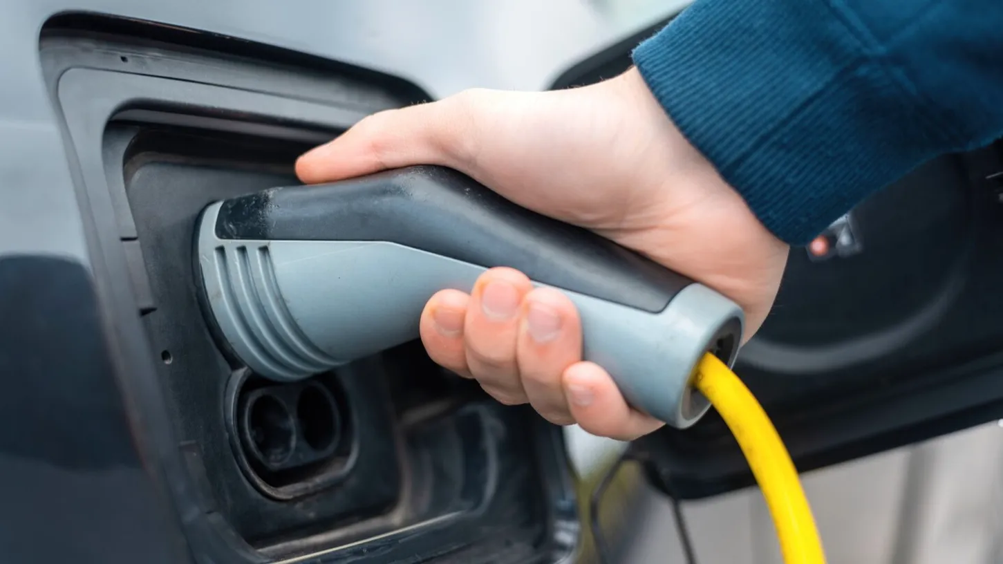 Фото взято с ru.freepik.com