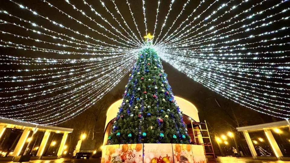 Фото: пресс-служба администрации г. о. Подольск