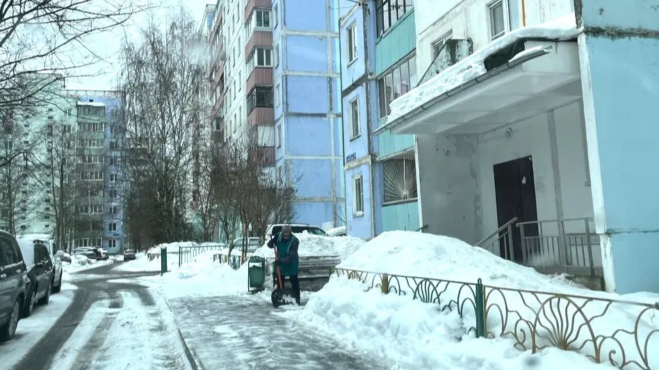 фото: администрация Краснознаменска