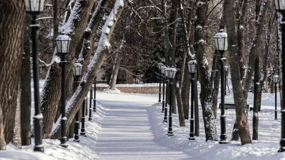 Фото: freepik.com