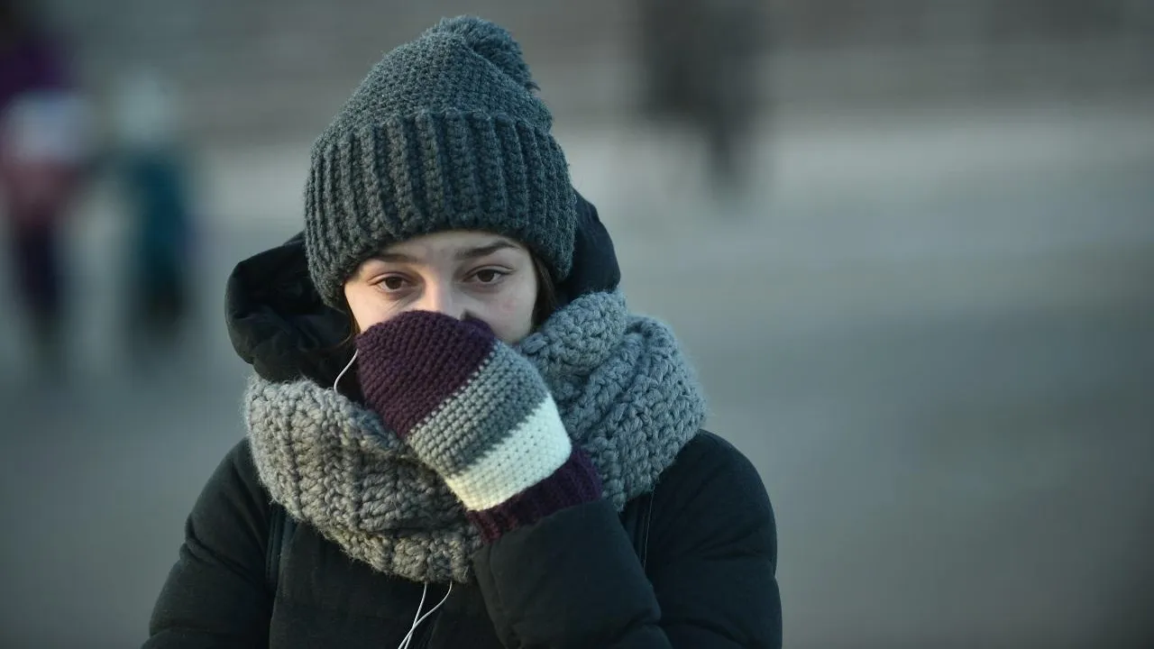 Медиаархив Подмосковья