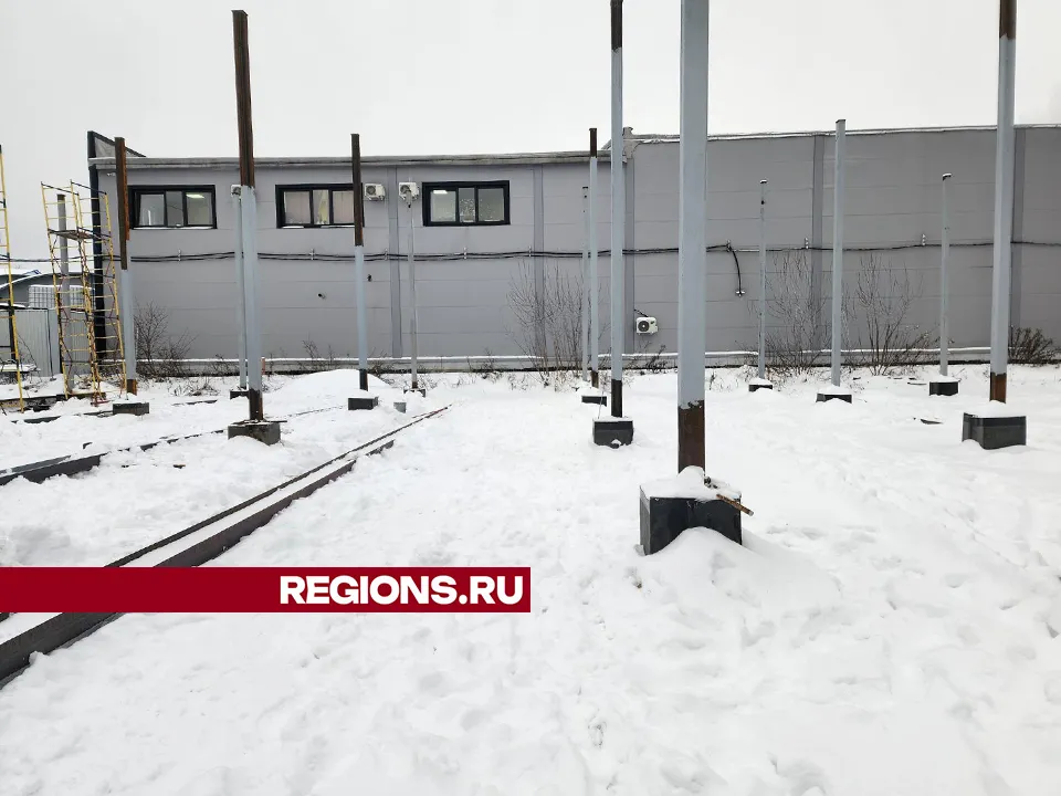 Фото: Екатерина Мелкозерова