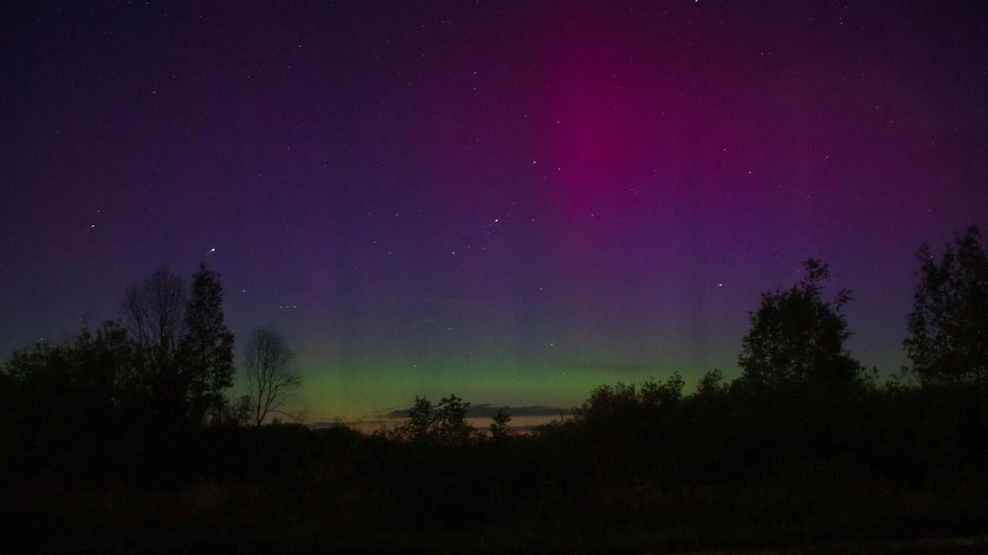 МедиаБанк Подмосковья/Лев Львов