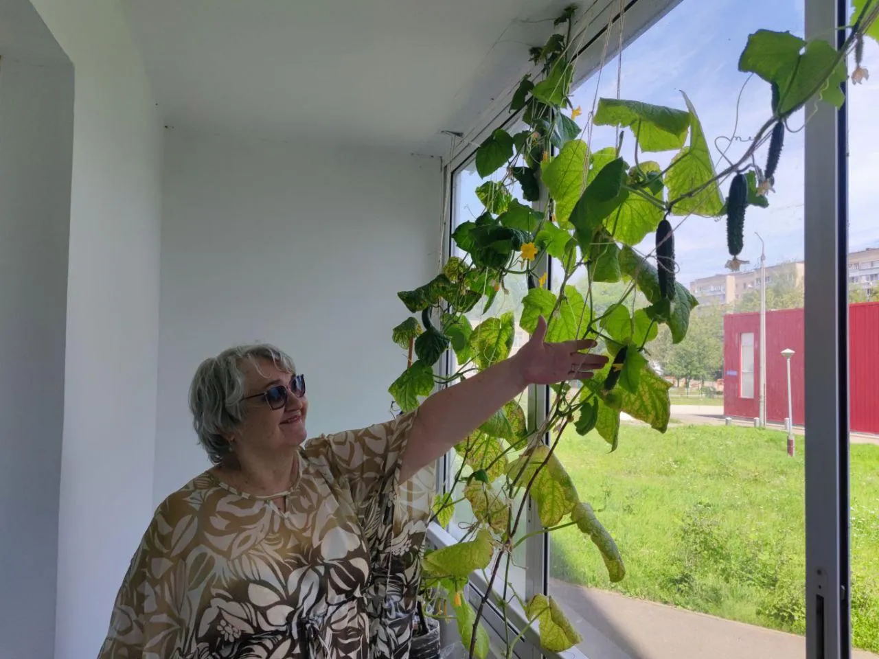 Фото: администрация городского округа Дубна&nbsp;