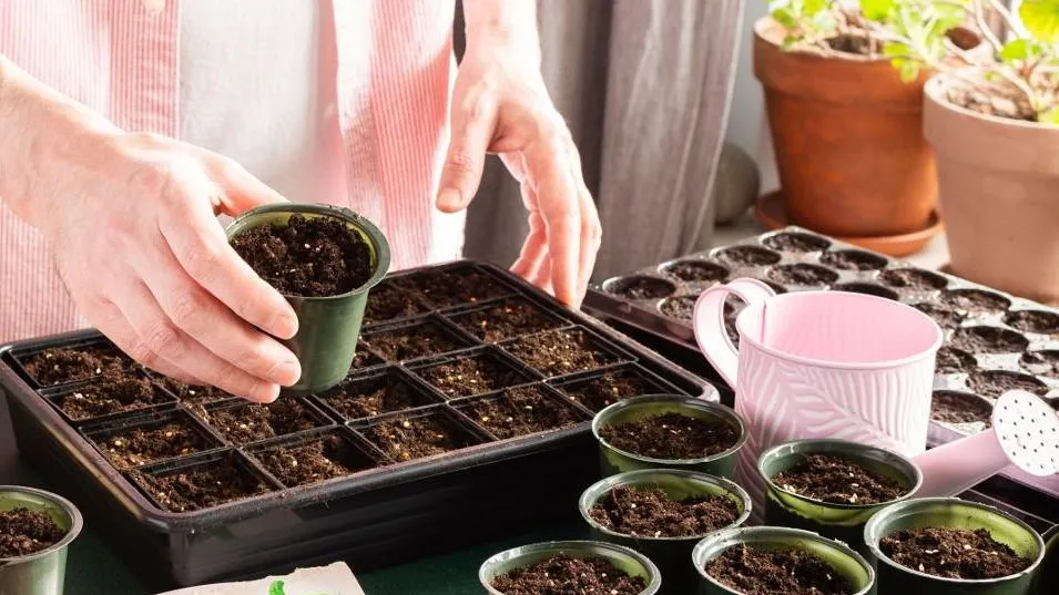 istockphoto.com/pundapanda