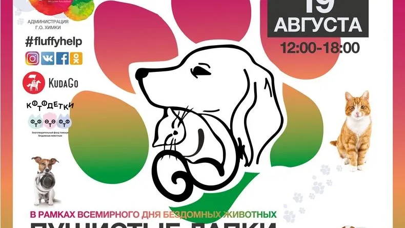 Центр помощи животным «Пушистые лапки»