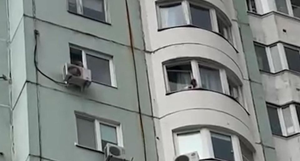 Ползавший по подоконнику открытого окна на 12-м этаже ребенок напугал москвичей