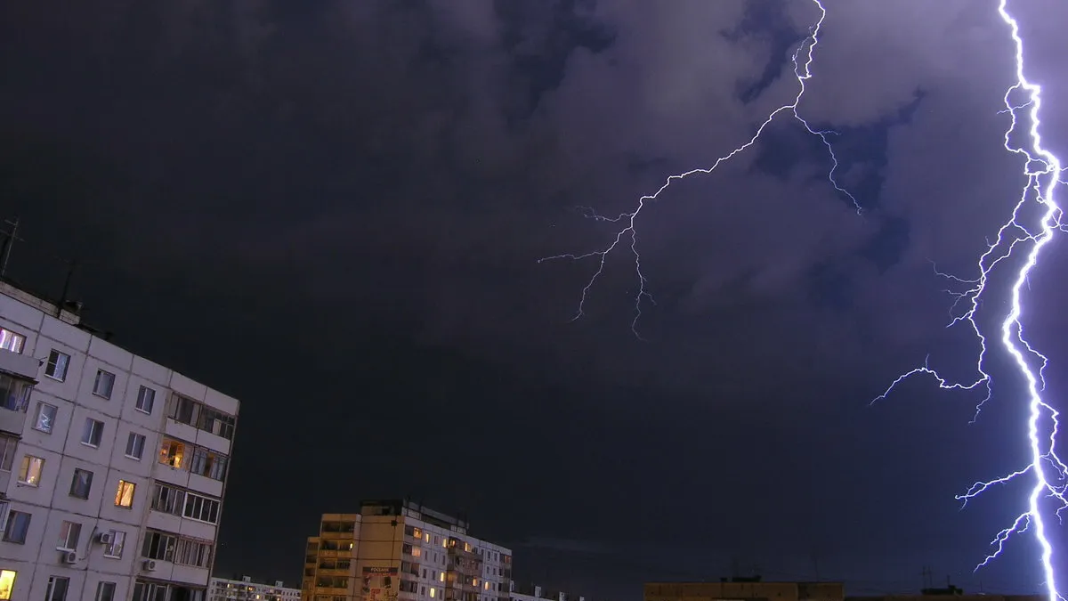 Фото: freepik.com