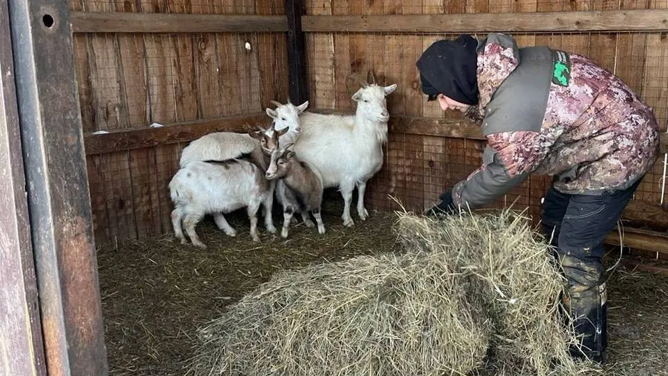 Фото: t.me/elk_island_national_park