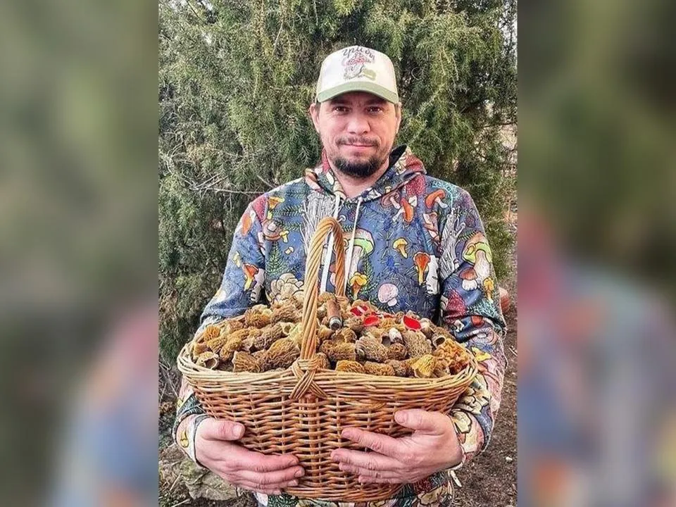 «Две, может, даже и три»: миколог рассказал, сколько грибных волн ждать в Подмосковье в этом году