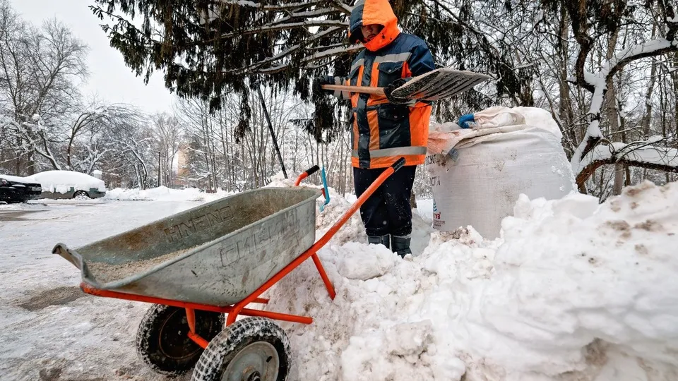 Фото: медиасток.рф