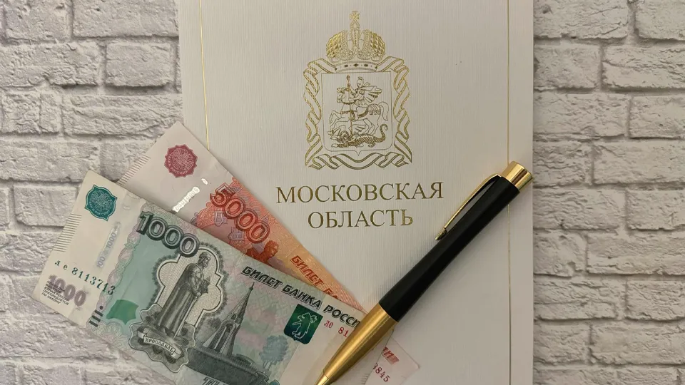 Фото: Министерство экономики и финансов Московской области