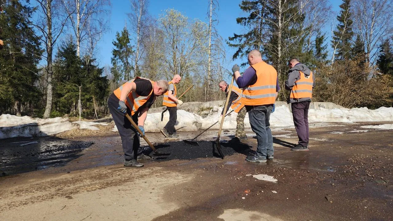 МедиаБанк Подмосковья/Дмитрий Беденко
