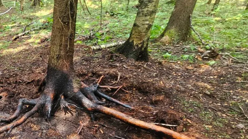 Фото: пресс-служба Администрации г. о. Черноголовка