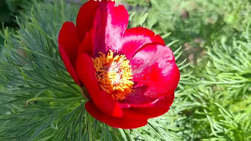 Фото: REGIONS/Юлия Габбасова