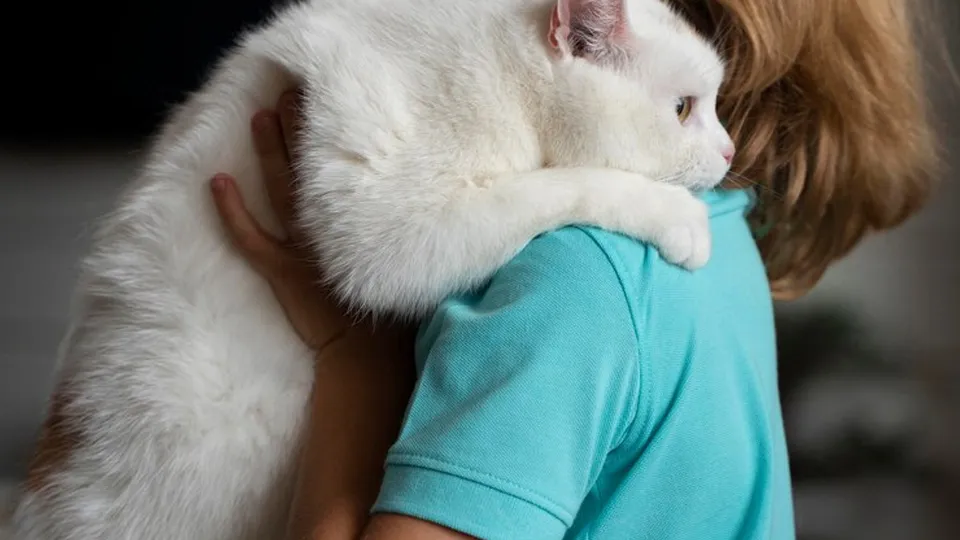 Фото: freepik.com