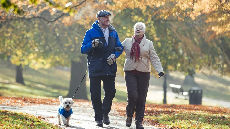 Фото: istockphoto.com/SolStock