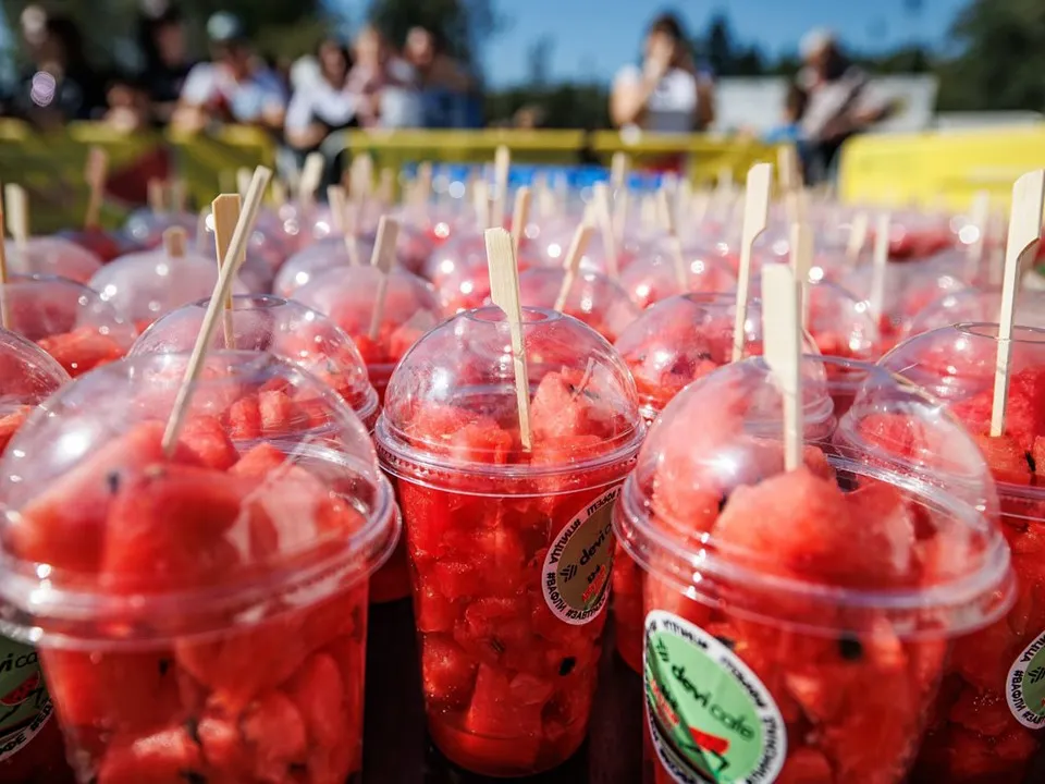 Фото: пресс-служба администрации Одинцовского г.о.