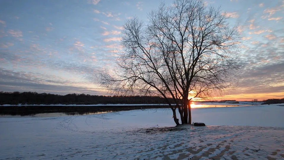 Фото: REGIONS/Алексей Селиверстов