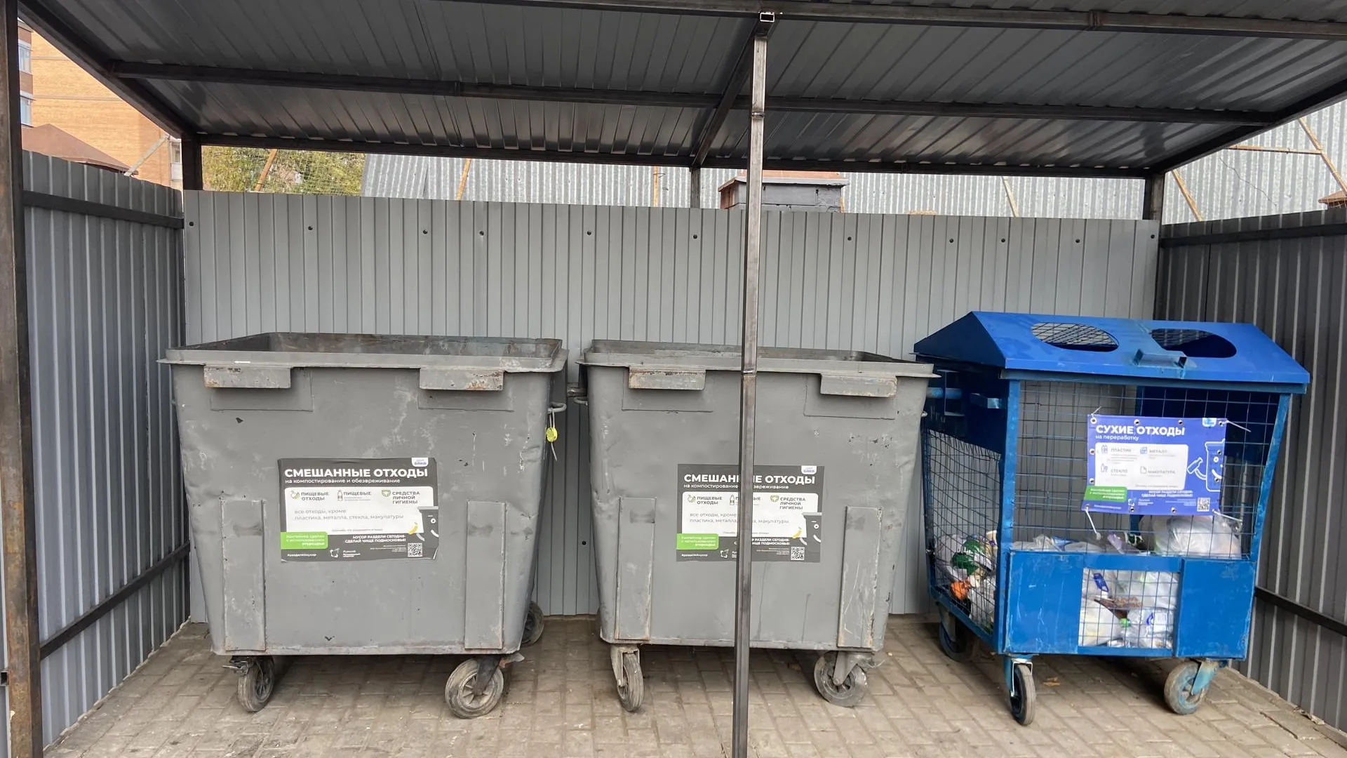 Светлана Борщева