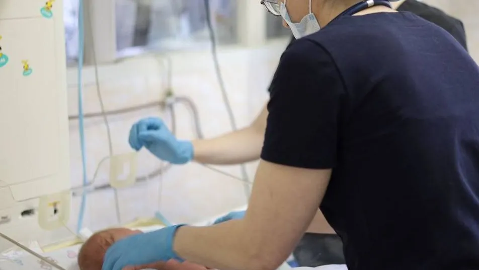 Фото: МедиаБанк Подмосковья/Ольга Аввакумова