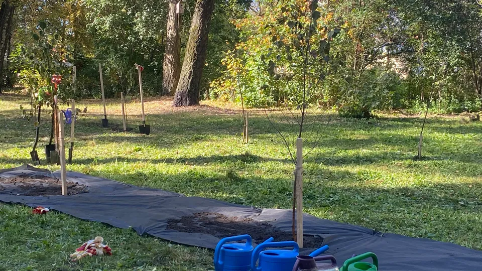 Фото: МедиаБанк Подмосковья/Елена Аботурова