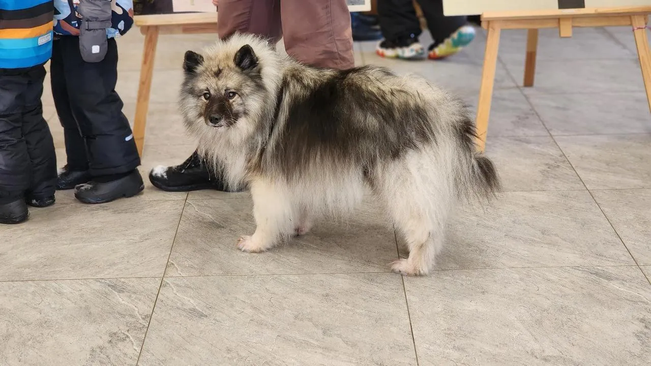 REGIONS/Роман Кутузов