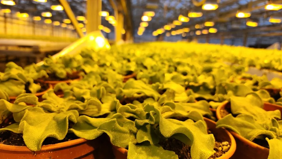 Фото: Никита Сморкалов