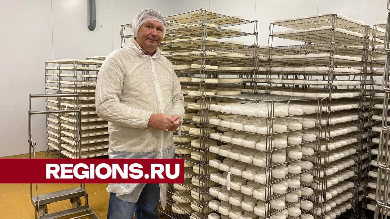 фото, видео: Елена Лабзина