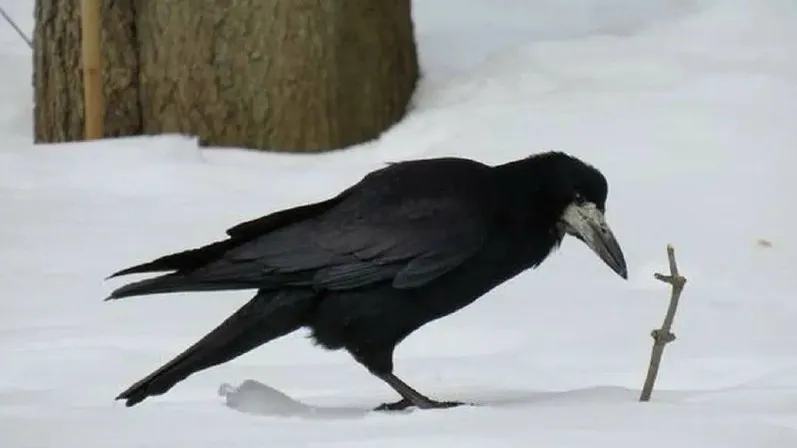 пресс-служба администрации Наро-Фоминского г.о.