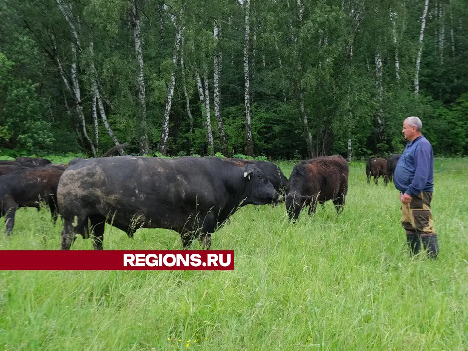 Фото: Мария Панина