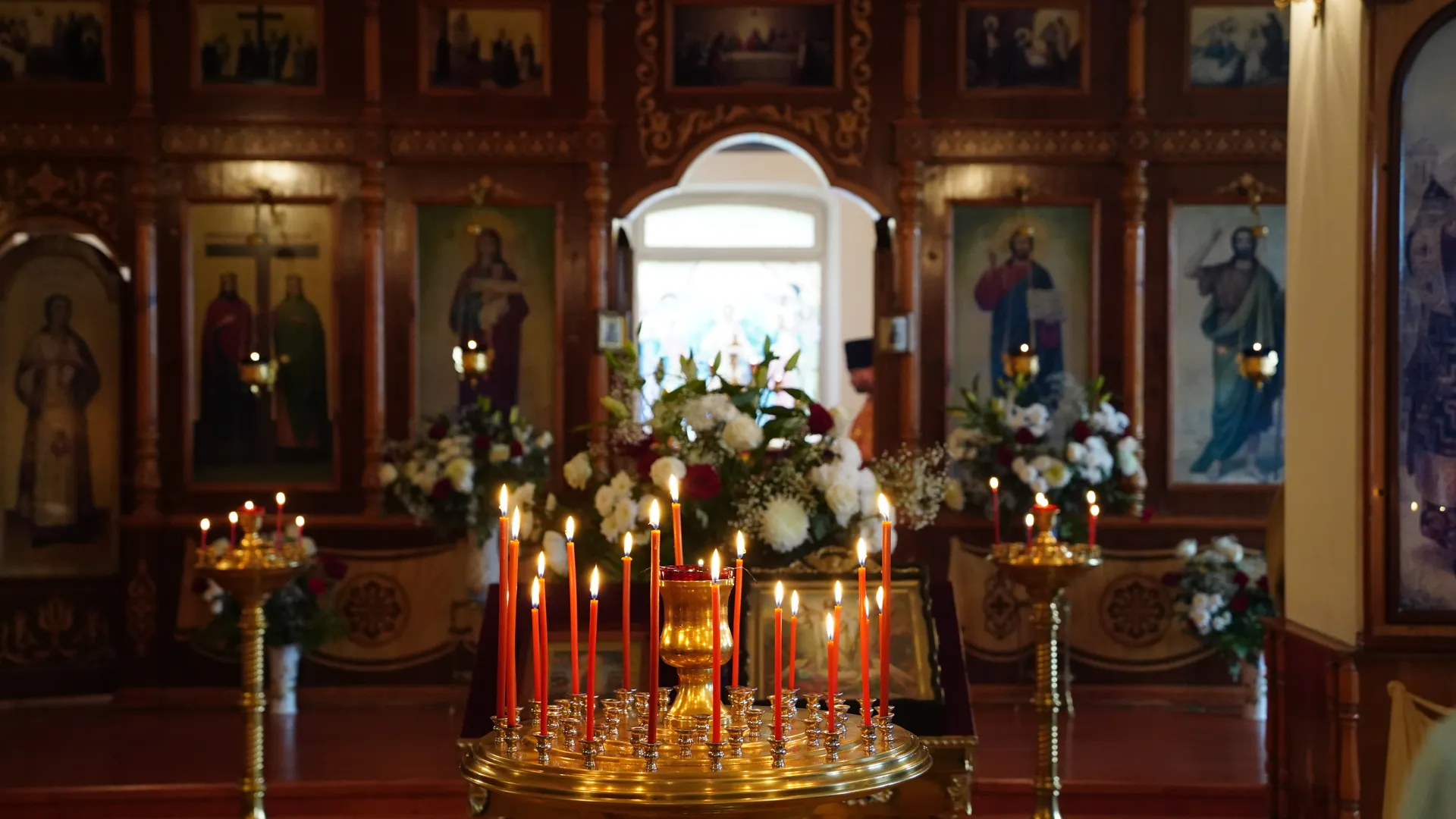 Фото: МедиаБанк Подмосковья/Анастасия Хренкова