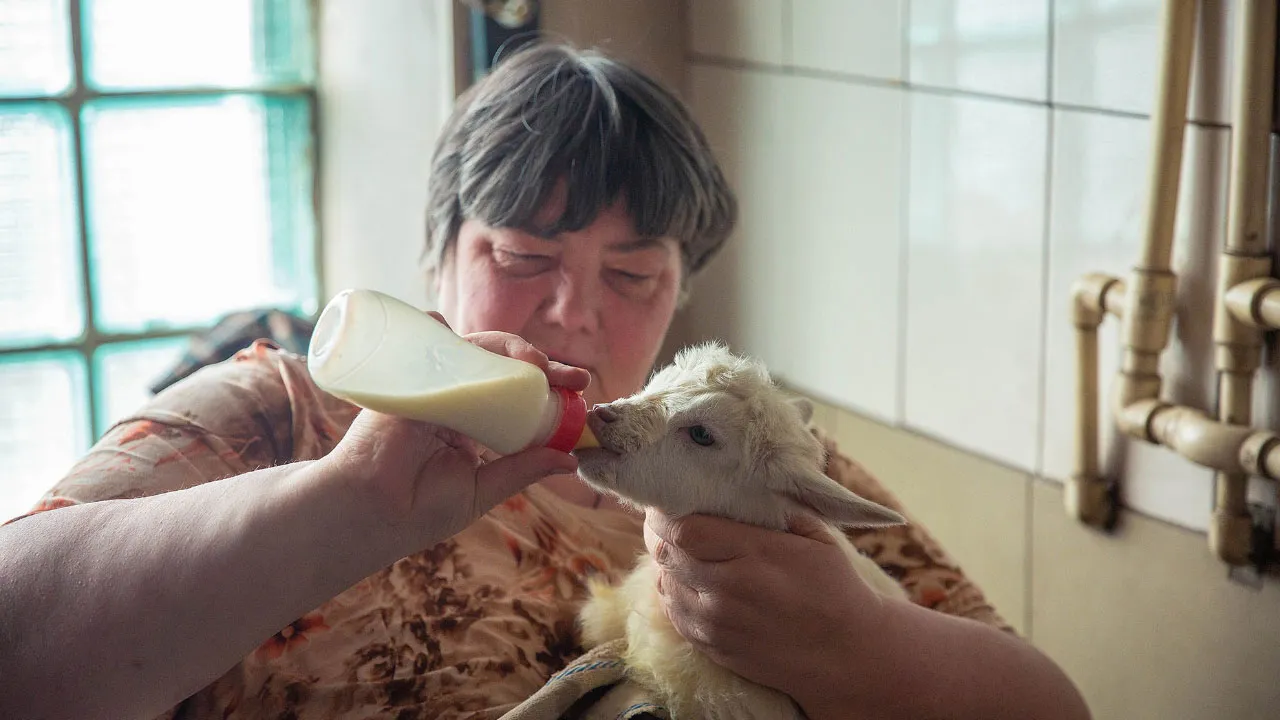 Фото: vk.com/Юлия Тилипенко