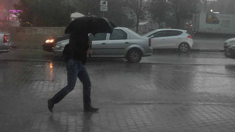 Фото: медиасток.рф