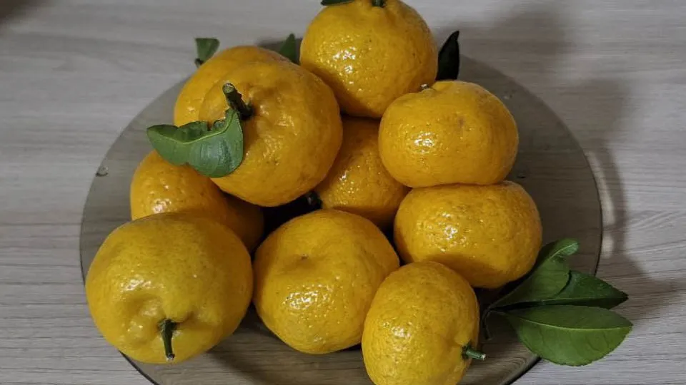 Фото: REGIONS/Юлия Габассова