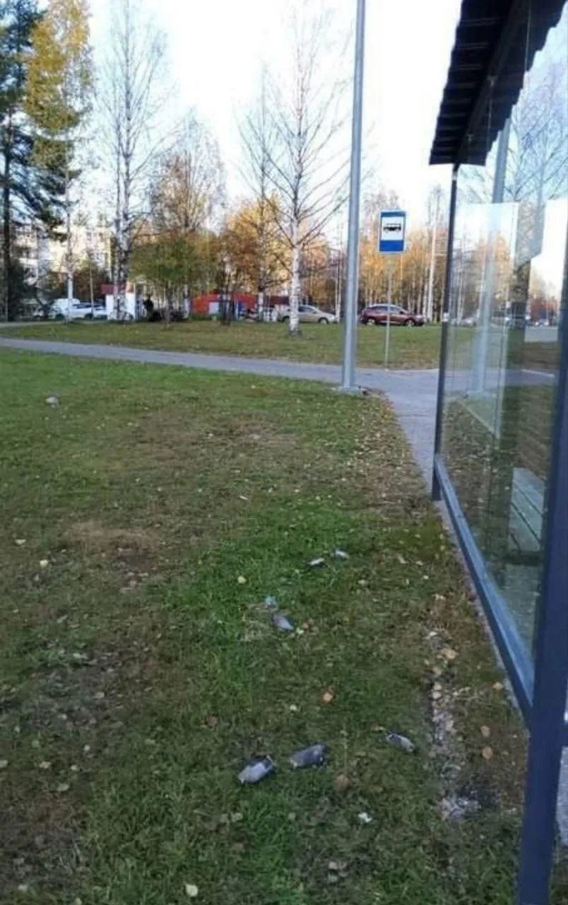 Фото из соцсетей