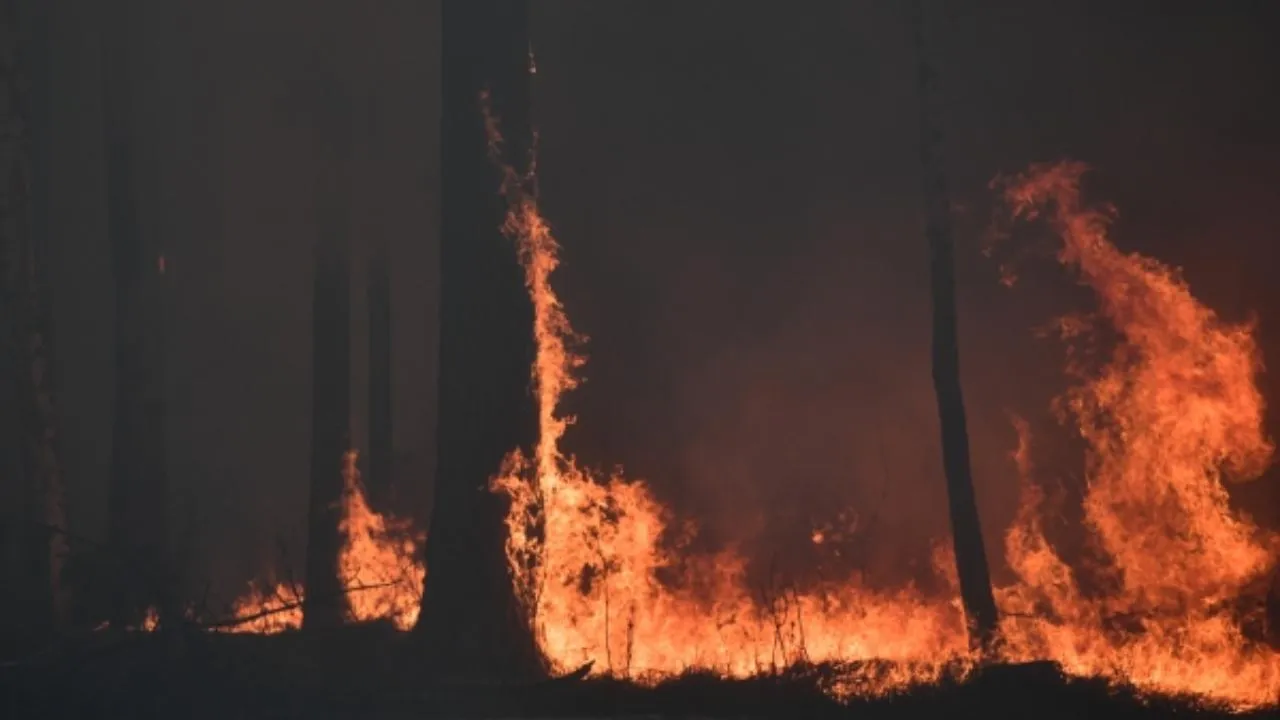 Четвертый класс пожарной опасности начал действовать в Подмосковье