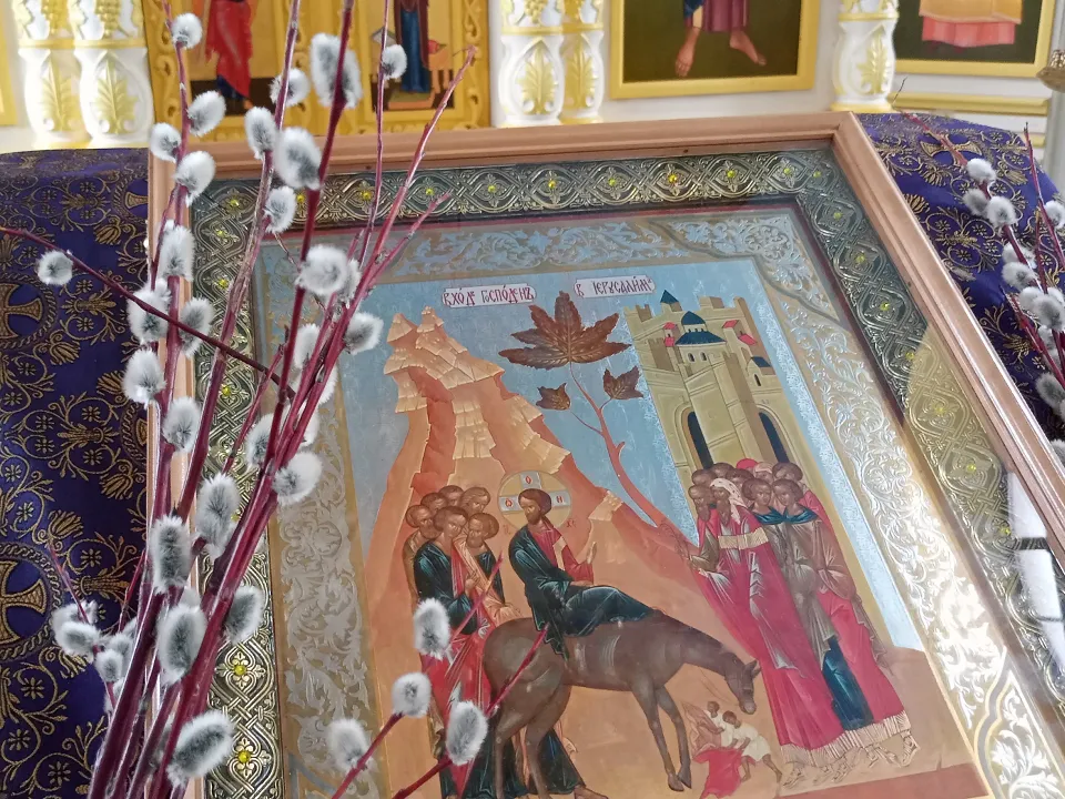 Фото: МедиаБанк Подмосковья/Игорь Панов