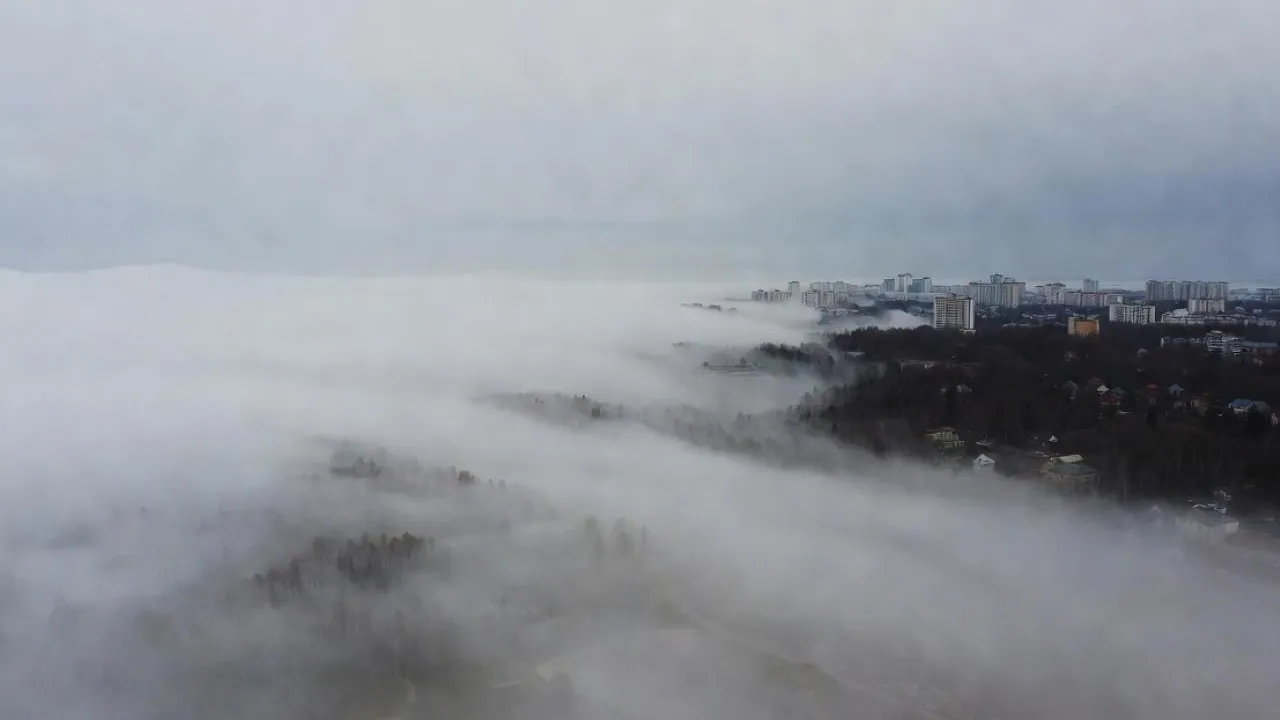 «Подмосковье сегодня»/Сгенерировано нейросетью