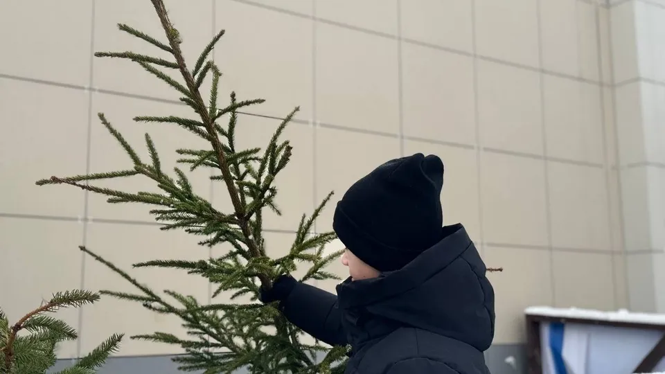 Фото: медиасток.рф